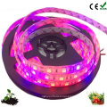 DC12V SMD 5050 led plant grow light strip for Greenhouse Hydroponic Plant Growing